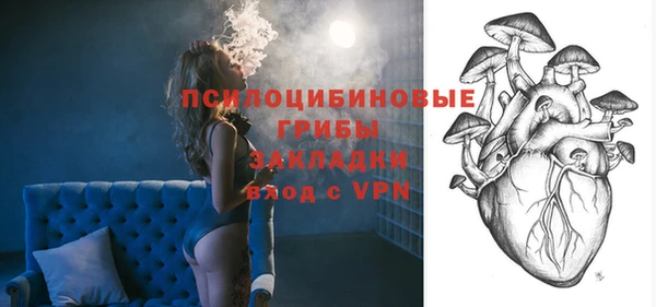 мет Каменногорск