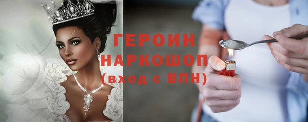 spice Инта