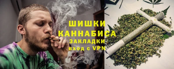 spice Инта