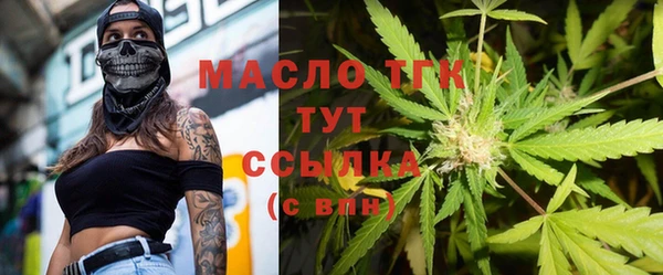 spice Инта