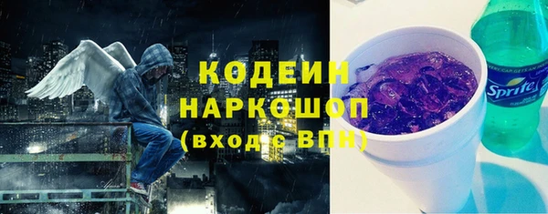 spice Инта