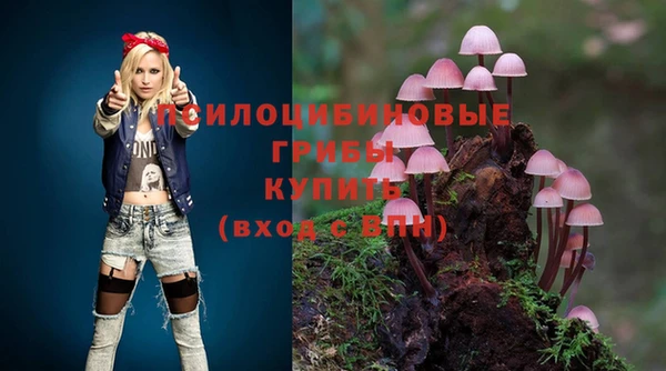 мет Каменногорск
