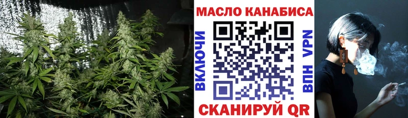 Купить где  Болхов  ТГК концентрат 
