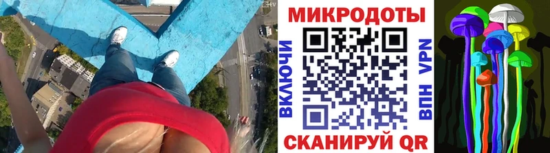 Псилоцибиновые грибы Magic Shrooms  Купить где  Болхов 