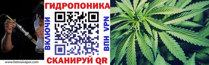 Конопля гибрид  Купить где  Болхов 
